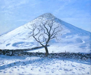 Collina e albero, Derbyshire, 2008