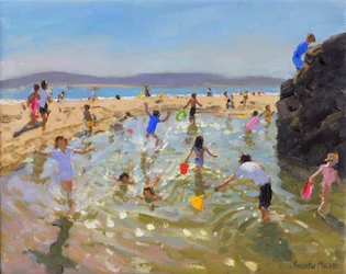 Pozza di marea, Tenby, 2016