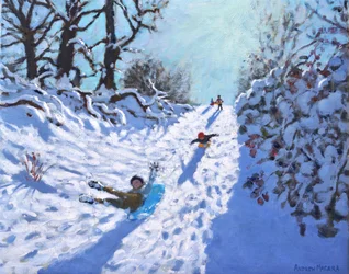 Slittino, Calke Abbey, Ticknall, Derby