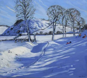 Slittino, Derbyshire Peak District, 2012