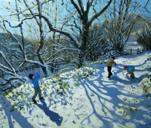 Battaglia di palle di neve, Derbyshire