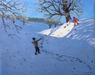 Lancio di palle di neve