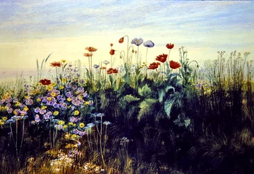 Fiori selvatici