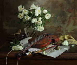 Rose bianche e violino
