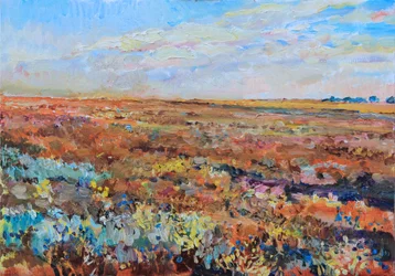 Orizzonte di un campo colorato