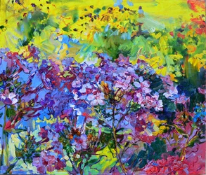 Giardino fiorito e colorato