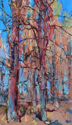 Alberi colorati della foresta