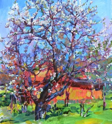 Albero in fiore in primavera