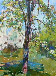 Fiori primaverili sotto il sole
