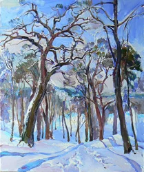 Sentiero soleggiato nella foresta invernale