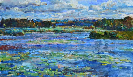 Il tranquillo lago tra le ninfee
