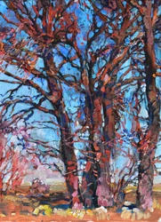 Alberi dai colori vivaci in autunno