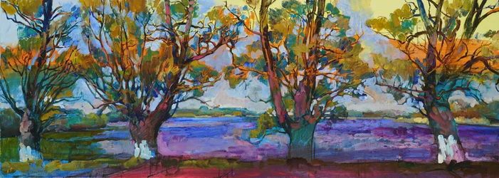Alberi autunnali dai colori vivaci