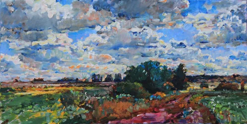 Campi di campagna dai colori vivaci