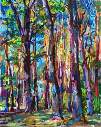 Luce vivace della foresta