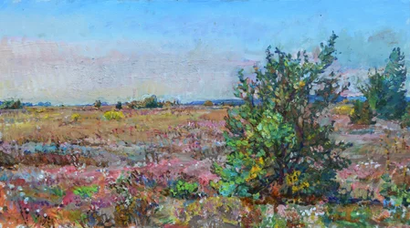 Vivace paesaggio di brughiera