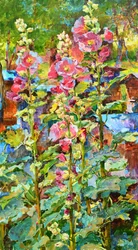 Vivace giardino di malvarose