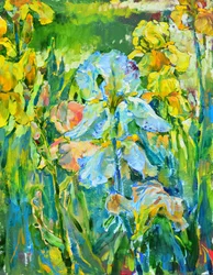 Vivace giardino di iris