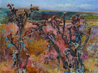 Un campo di cardi dai colori vivaci