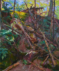 Luce della foresta selvaggia