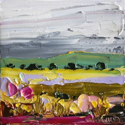 Campi di campagna dai colori vivaci