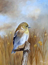 Autumn Finch Perch