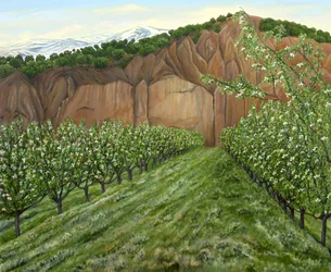 La valle dei frutteti in fiore