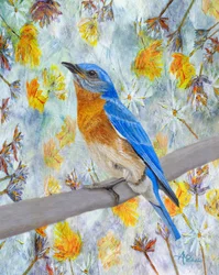 Un uccellino azzurro tra i fiori