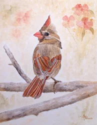 Cardinale bruno appollaiato