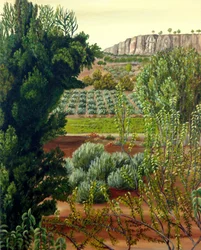 Vista sulla scogliera della Valle Coltivata