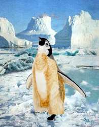 Il pinguino curioso: il ghiaccio antartico