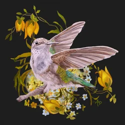 Elegante colibrì tra i fiori