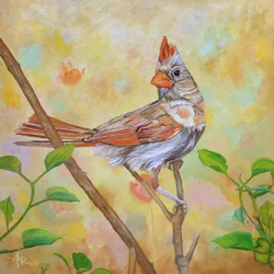 Cardinale femmina appollaiata