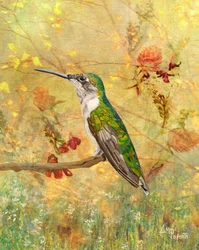 Posatoio per colibrì dorati
