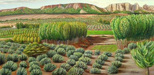 Terreni agricoli di Green Valley