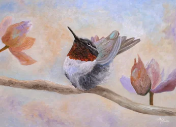 Colibrì tra i fiori