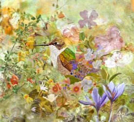Fiori per il giardino dei colibrì
