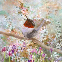 Colibrì in fiore