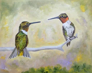 Coppia di colibrì appollaiati