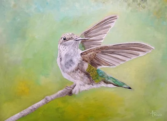 Ali di colibrì appollaiato