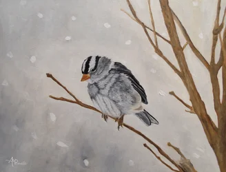 Passero invernale silenzioso