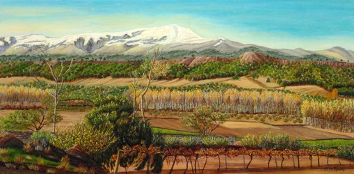 Vigneto rurale di montagna