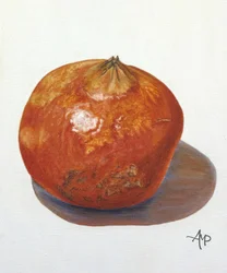 Melograno rustico