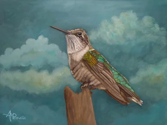 Colibrì del cielo