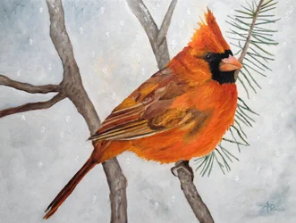 Cardinale rosso innevato