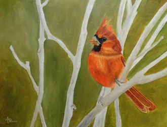 Un cardinale dai colori vivaci appollaiato