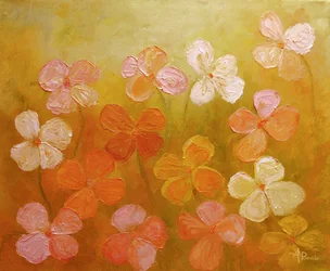 Fiori dai colori vivaci