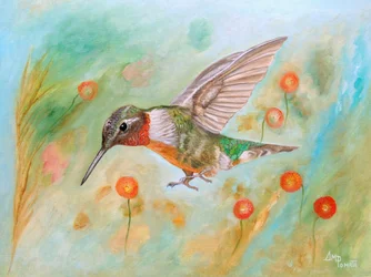 Colibrì del giardino dai colori vivaci