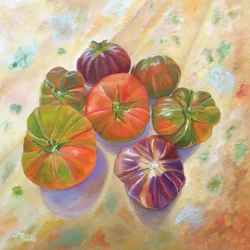 Pomodori tradizionali dai colori vivaci
