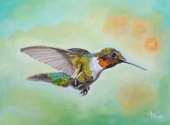 Il volo vivace del colibrì